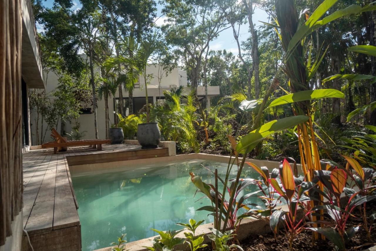 Villa Xuncari En El Corazon De La Selva تولوم المظهر الخارجي الصورة